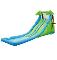 Château sautant gonflable de glissière humide gonflable de thème de bande dessinée pour des enfants gonflables avec le parc aquatique