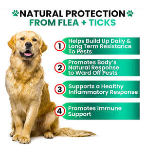 Prevención de <span class=keywords><strong>Pulgas</strong></span> y Garrapatas para Perros, Masticables - Suplemento Natural en Masticables para <span class=keywords><strong>Pulgas</strong></span> y Garrapatas - Pastillas Orales para Perros - Defensa Contra Plagas - Product Image 3