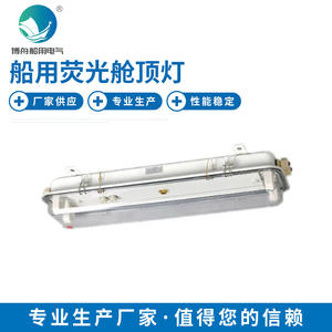 Lumière de plafond de cabine LED fluorescente CLXM2224 avec lumière d'allée d'urgence Catégorie de produit Lumières d'urgence - Product Image 3