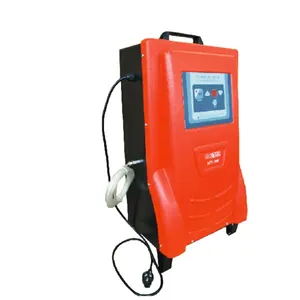 Ozone sterilizer and cleaner for vehicle
