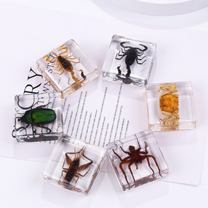 Aivi Nouvelle Arrivée Transfrontalière Serre-livres Carré en Résine Époxy avec Insecte, Aide Pédagogique pour Étudiants, Ornement Artisanal en Ambre avec Spécimen Animal - Product Image 2