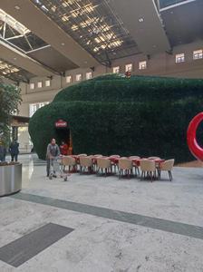 Feuilles de <span class=keywords><strong>Laurier</strong></span> Artificielles de Haute Qualité Effet Naturel, 50cm-200cm, en Plastique, pour la Culture du Thé Turc et les Musées - Product Image 6