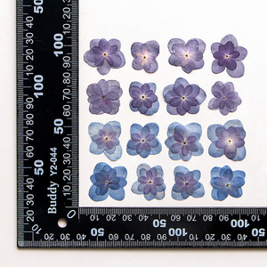 Kuaid Double Hortensia Peinture de fleurs en relief <span class=keywords><strong>Herbier</strong></span> <span class=keywords><strong>Presse</strong></span> à fleurs séchées Marque-page Décoration de visage Fleurs séchées - Product Image 5
