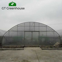 Serre tunnel en plastique pour produits agricoles GT, pour l'agriculture, Invernaderos Chine