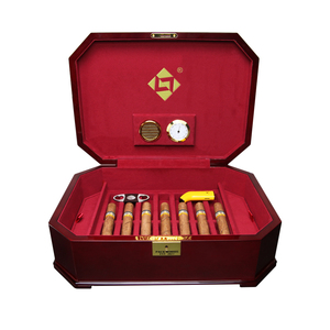 14 CT Large Humidor High End Cigar Storage Box