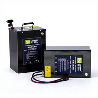 Batterie au lithium pour vélo/scooter électrique CATL, protection contre les insectes, 72v60v 120AHTernary LiNiMnCoO2 1500 cycles