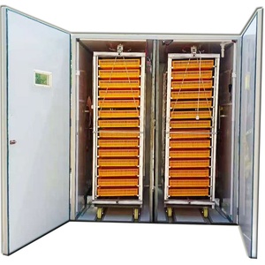 Incubateur d'œufs de poulet, de canard, de dinde et d'oie entièrement automatique à bas prix en gros avec fils 12V et 220V - Product Image 1