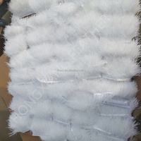 Frange de plumes d'autruche en gros 8-10cm, garniture de plumes blanches, tissu en dentelle de plumes colorées pour vêtements, bricolage et décoration de mariage