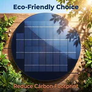 Wholesale SUNBOY <b>SOLAR</b> Large Round PolyCrystalline 10W Black 6V <b>Solar</b> With 18-18.5% Efficiency for <b>Solar</b> Street <b>Light</b> SD-345 Our - Product Image 2