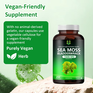 Hot Selling 1600MG Premium Quality Sea Moss Capsules with Bladderwrack Support Digestive Healthy and Promote Immunity for Adult - Product Image 3