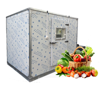 Hydro Precooler Machine voor fruitkoeling, roestvrij staal SUS304, 220V/380V, industrieel ontwerp voor koude opslag, PLC-besturing