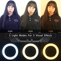 Anneau lumineux LED bicolore de 18 pouces FT 45 avec trépied, éclairage vidéo à intensité variable pour le streaming en direct, la beauté, le maquillage, la photographie en studio