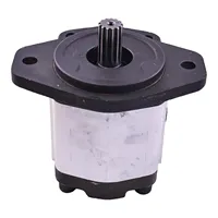 Hidrolik Pompa 5192659 Case Traktör MAXXUM MXU 115 120 130 135 150 125 100 için