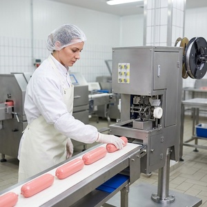 Ligne de production industrielle de machine à saucisses automatique personnalisable en acier inoxydable 304, remplisseuse sous vide automatique - Product Image 3