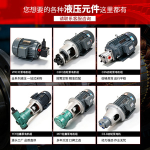 Ensemble de pompes hydrauliques Bo Rui 0,75-3,75KW 380V avec moteur en cuivre pur et pompe à palettes pour station hydraulique - Product Image 5