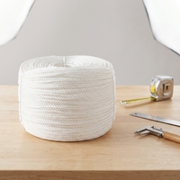 Corde en nylon blanc haute résistance et résistante à l'usure, modèle N, pour la fixation de cordes à linge et de film plastique pour serres