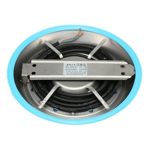 3000 K 4000 K 6000 K RGB IP68 Chống Thấm Nước Nổi Dẫn Ánh Sáng Bơi Hồ Bơi Dây Ánh Sáng 12 V - Product Image 6