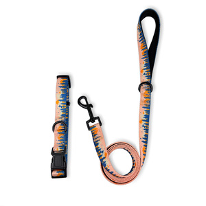 Collares de Moda para Perros, Ajustables, con Hebilla, Diseño Floral, Geométrico, Arcoíris, de Poliéster, para Todas las Estaciones - Product Image 2