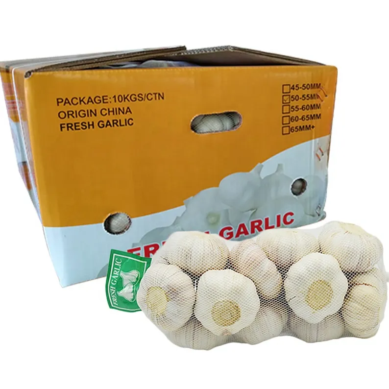 5.5 cm Factory Pure White Fresh Garlic Price/ bulk garlic for sale/ garlic from China