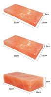 Briques de sel naturel de l'Himalaya 20*10*5cm, fabriquées à partir de sel rose de l'Himalaya 100% pur pour salle de sauna