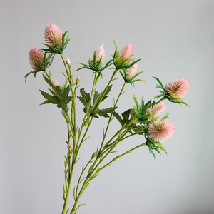 Simulation de fleur artificielle de bonne qualité, 10 têtes, <span class=keywords><strong>Eryngium</strong></span> <span class=keywords><strong>Foetidum</strong></span>, décoration florale de salon - Product Image 4