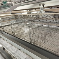Peralatan Peternakan Unggas Baja Galvanis Celup Panas Otomatis Penuh, Kandang Baterai Tipe H untuk 30.000 Burung Ayam