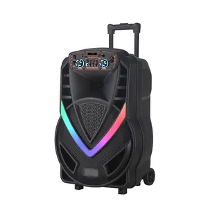 Redwingy NDR-V12 Super High Power 40W Subwoofer 12Inch Karaoke Mic Soundbox Met Draadloze Microfoon Dj Party Trolley Speaker