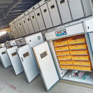 Máy Ấp Trứng Tự Động Bằng Điện Đa Năng Giá Và Máy Ấp Trứng Cho Chuột Lang Giá - Product Image 5