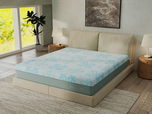 Funda de colchón con cremallera de estilo moderno Spenic, Material fucacional de alta calidad, espuma viscoelástica King Queen, tamaño completo - Product Image 1