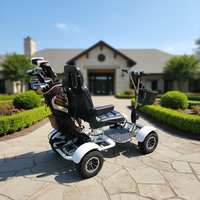 Voiturette de golf à moteur 1000W pour un seul joueur handicapé, buggy de golf/scooter de golf avec garde-boue