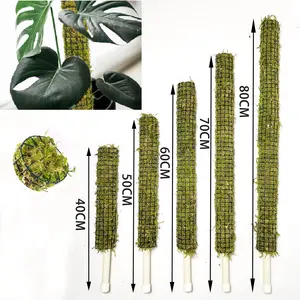 Natural green moss poles plant climbing rattan pole monstera green dill support fixed frame climbing stick length optional