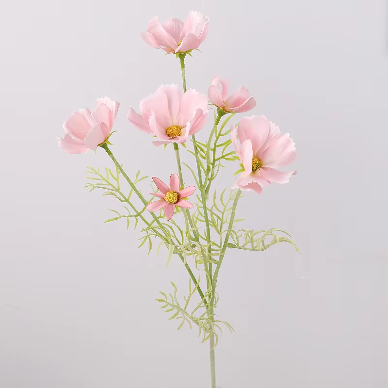 สีชมพูอ่อน