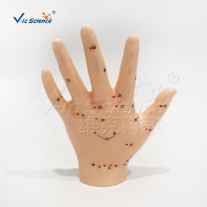 13cm tay mô hình châm cứu cho khoa học y tế ứng dụng mô hình châm cứu cơ thể con người - Product Image 3