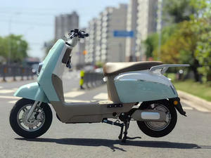 Y4-XKG Mini <span class=keywords><strong>moto</strong></span> électrique costume le plus vendu <span class=keywords><strong>800W</strong></span> longue portée <span class=keywords><strong>Cross</strong></span> 72v <span class=keywords><strong>moto</strong></span> électrique - Product Image 4