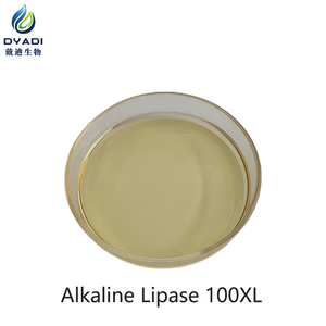 Lipasi Alcalina 100XL Idrolizza i Trigliceridi per Rimuovere Macchie di Grasso e Sporco - Product Image 4