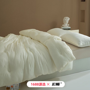 Type A Fiber Quilt Soybean Fiber Jacquard Warm Breathable Single Double Size Spring Autumn Winter All Season White - Product Image 5