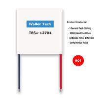 Éléments de refroidissement thermoélectriques Peltier Bi2Te3 haute efficacité 15,4 V/12 V 4 A à montage en surface TES1-12704 pour mini-réfrigérateur de voiture