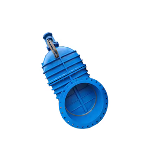 Chất lượng cao đường kính lớn thép đúc Van cổng kết nối mặt bích Van cổng cứng con dấu Van cổng - Product Image 2