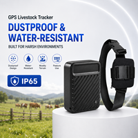 Localizador GPS 2G WiFi de 10000mAh, Resistente al Agua, con Alerta de Geo-cerca, Historial de Rutas, Reproducción de Recorridos, Uso Global