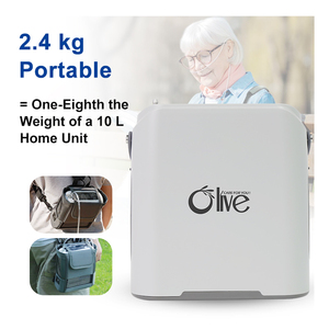 Olive 5 lít Mini O2 Máy phát điện PSA 5 lít concentrador de oxigeno portatil 1-8L xách tay oxy tập trung cho xe hơi và nhà - Product Image 1