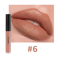 24 Couleurs Sans Logo Brillant à Lèvres Maquillage Longue Tenue Imperméable Velours Rouge à Lèvres Mat Marque Privée Rouge à Lèvres Liquide Mat