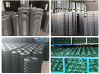 Grillage soudé carré à prix d'usine, galvanisé à chaud, revêtu de PVC, haute résistance à la traction, durable, pour poulaillers de jardin