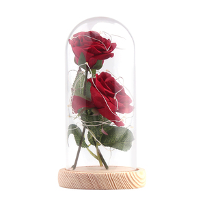 Nuevo Diseño La Bella y la Bestia 2 Piezas <span class=keywords><strong>Rosa</strong></span> Artificial <span class=keywords><strong>de</strong></span> Seda Rosas Eternas Preservadas <span class=keywords><strong>con</strong></span> Luces LED en Cúpula <span class=keywords><strong>de</strong></span> <span class=keywords><strong>Cristal</strong></span> - Product Image 3