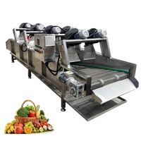Automatische duurzame zachte verpakkingsmachine voor het drogen van groenten en fruit met motorpomp & motor - Lerford RX-3000 3kw leverancier