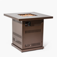 Bol de feu moderne en métal 40000BTU à gaz propane pour foyer intérieur/extérieur pour patio et fêtes de jardin en acier