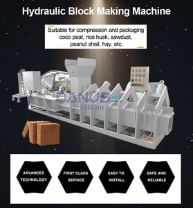 Presse hydraulique pour blocs de tourbe de coco, machine à briquettes de sciure de bois, 5 kg - Product Image 5