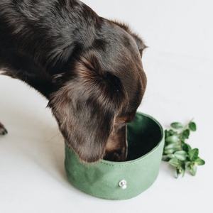 Ciotole per animali domestici ecologiche all'ingrosso pieghevole impermeabile ciotola per cani pieghevole portatile pieghevole da viaggio ciotola per acqua per cani - Product Image 4