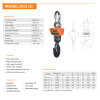 Balance de grue robuste de 30 tonnes avec système d'avertissement de surcharge, structure entièrement en acier renforcée pour opérations de pesage sécurisées en chantier naval