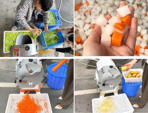 Máquina Cortadora de Frutas y Verduras a Buen Precio, Cortadora de Vegetales en Cubos, Cortadora de Zanahorias - Product Image 3
