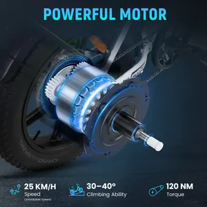 <span class=keywords><strong>Bicicleta</strong></span> Eléctrica Urbana de Ocio <span class=keywords><strong>RATTAN</strong></span> LF Pro con Envío en la UE, Motor sin Escobillas de 750W, 46km/h, 120km de Autonomía, 18AH, Frenos Hidráulicos - Product Image 6